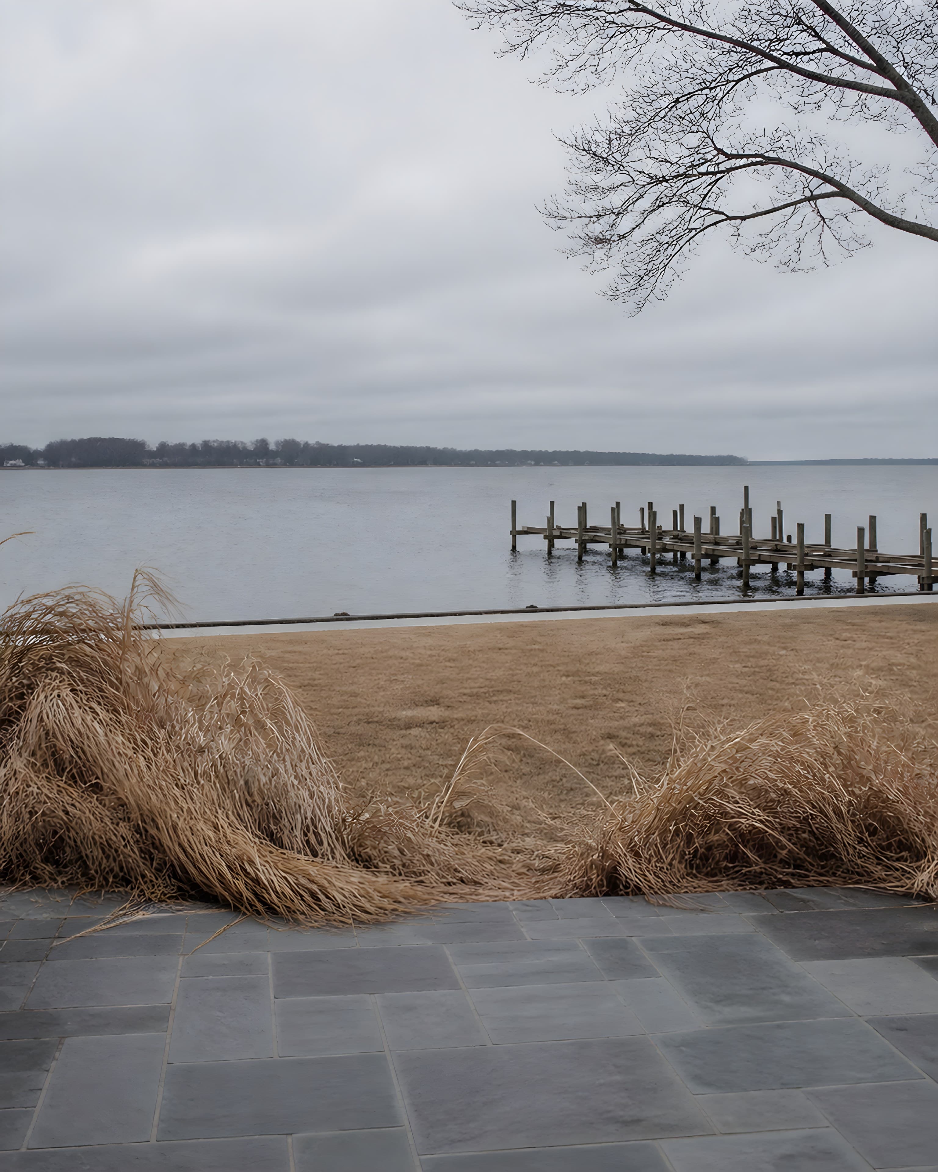 The bay in January from the terrace: bleached broken grasses, dormant lawn, pewter water, and the dock stripped to its frame